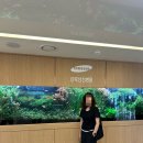 삼성늘푸른약국 이미지