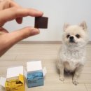 레오메디 이미지