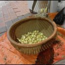 부여전자 이미지