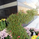 유배문학관 이미지