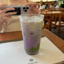 제주i | [제주여행] 2박 3일 내돈내산 후기 I 제주 서쪽 코스 & 맛집 추천 1일차