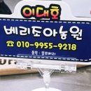 중촌블루베리