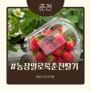 알로3 농장 이미지