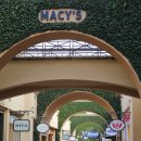 패션아일랜드 이미지