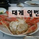 대게일번지횟집