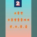 SI푸드