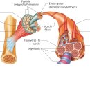 수아필라테스 - 은평구 진관1로 21-35 | 수아필라테스