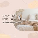 신나라공인중개사사무소 이미지