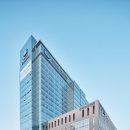 성모동물병원 이미지