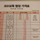 이중인 묘 이미지