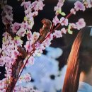 결혼정보아름다운동행 이미지