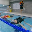 노블스위밍랩 장유율하점 이미지