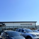 꽁당보리밥 이미지