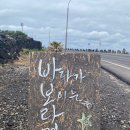 술의식물원