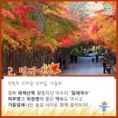 10월11일. 고성하늘길&amp;은비령 필례약수단풍 트래킹 이미지