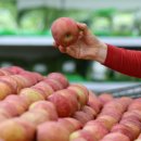 중앙청과마트 이미지