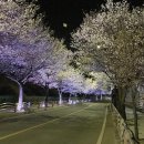 전곡읍-13 이미지