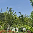 라라북천 | [경남/하동여행] 북천 양귀비·코스모스 축제와 함께 가기 좋은 가족여행 코스(하동나림생태공원...
