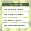 샤인커머스