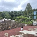 무릉도원면-40 이미지