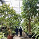 두평농장 | 서귀포 한달살이*열대식물 농장 방문(감사 312)