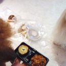 솜바지 다과점 이미지