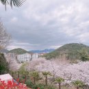 가포로 | 가포 어울림하우스｜뷰 좋은 가포 브런치 맛집 후기