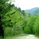 상원사샘터 이미지