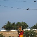 유석완님의 인도.스리랑카 여행기 9편(2010.1.31-2010.2.2.) 이미지