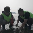 송석해의마을