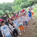 맑은샘농장 이미지