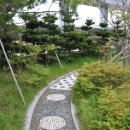 상쾌한 항구병원 이미지