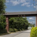 일산자두골마을 이미지