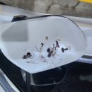 어정세차장 이미지