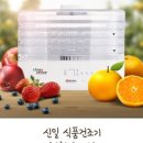신나는 식품