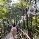 영월한반도지형 | 영월 한반도지형, 국뽕 차오르는 풍경. 영월 여행 코스 / 여행지 추천 / 사진 꿀팁