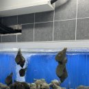 소답동200 이미지