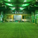 일산동구 사리현동 마린스 베이스볼클럽 높이 6미터 이미지
