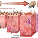 방주동물의료센터 이미지
