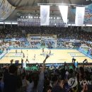 체육관 - 논산시 시민로307번길 22 | 체육관
