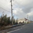 오렌지애견 | 광주/나주 실내외 애견카페 대형운동장 오렌지카페 후기