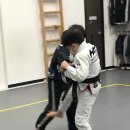 장지합기도 강류관 이미지