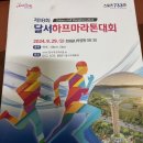 대구광역시 도시관리본부 | 93kg의 하프마라톤 완주(제18회 달서하프마라톤)