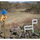 14-1코스 이미지