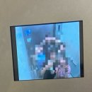 펭귄레코드 이미지