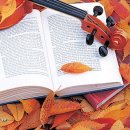 바이올린 이미지