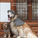 북촌마켓 이미지