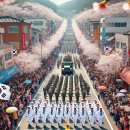㈜진해군항렌트카 | 2025 진해 군항제 완벽 가이드: 일정, 프로그램, 교통 정보 총정리