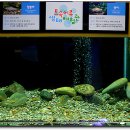 토속어류생태복원체험관 이미지