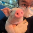 태준농장 이미지